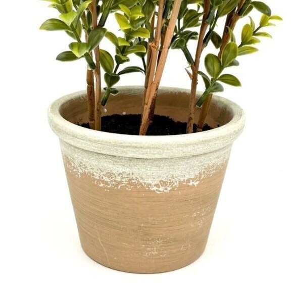 20” Faux Boxwood in Terracotta Pot Green - Threshold Studio McGee - Target 2022 - Picture 10 of 10